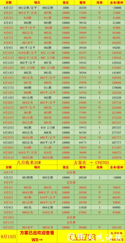 2026世界杯投注资金分配与收益心得